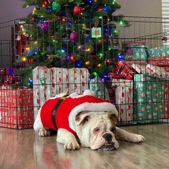 Meet your Posher, Brian - Picture 1 of 1